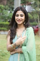 Sonu Thakur Gallery